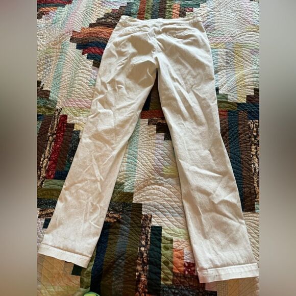 Anthropologie Chino Multicolored Pinstriping Size 26 - Picture 5 of 6